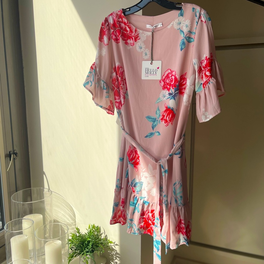NWT - Hello Molly Pink Floral Sleeved Dress, US 8